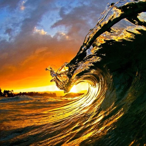 Name Brands For Less! - Picture 8 of 8